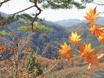  国家博物馆当天预约(国家博物馆当天预约显示不在可预约范围)